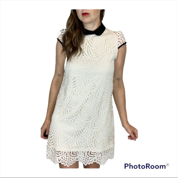 ZARA COLLECTION Cream Lace Collared Mini Shift Dress Size Medium - Picture 2 of 6